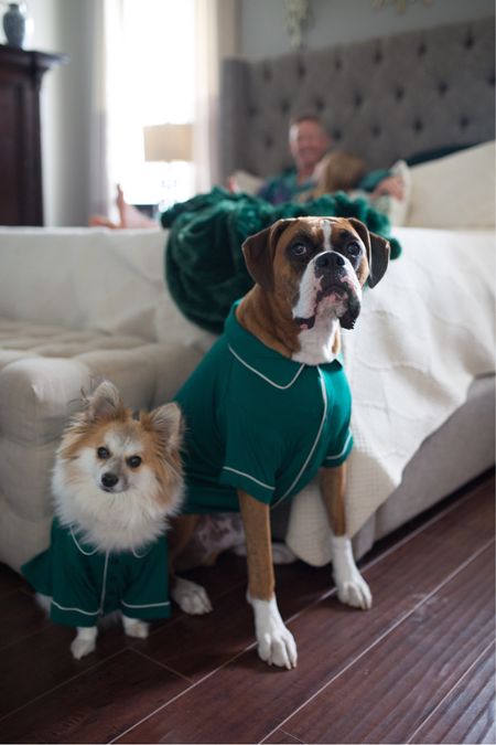 dog pajamas 

#LTKHoliday #LTKunder50
