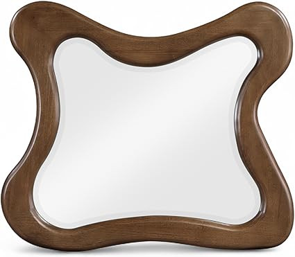 Meridian Furniture 66011Brown-M Verra Collection Modern | Contemporary Mirror with Rich Finish, S... | Amazon (US)