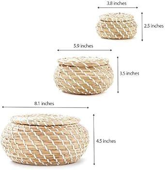 Americanflat Woven Seagrass Storage Baskets with Lids - Handmade Decorative Storage Baskets for Shel | Amazon (US)