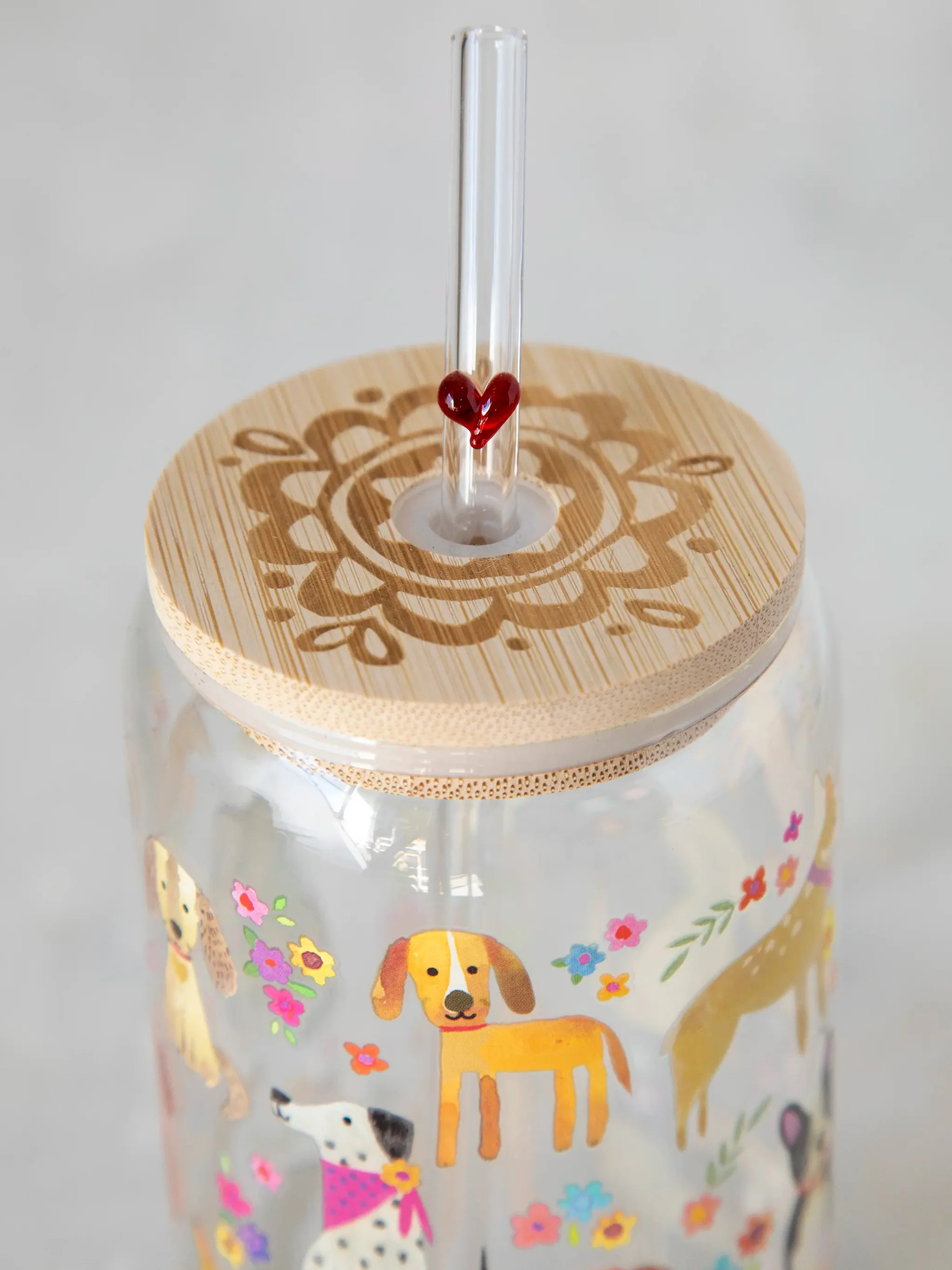 Glass Tumbler With Lid & Straw | Natural Life