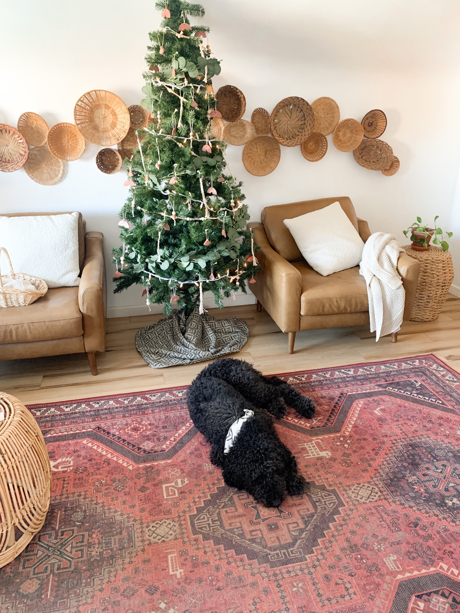 Boho chic Christmas and living room decor! 🎄

#LTKhome #LTKSeasonal #LTKHoliday