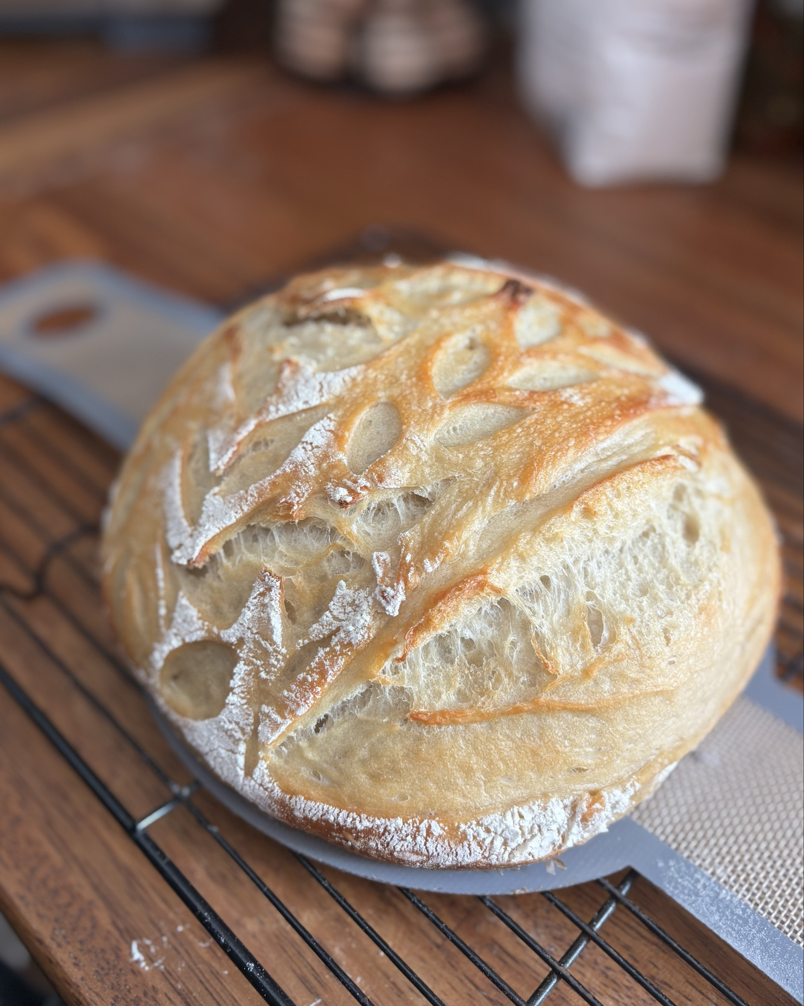 Sunday afternoon loaf

#LTKWatchNow #LTKHome #LTKFamily