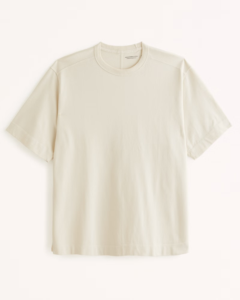 Premium Heavyweight Tee | Abercrombie & Fitch (US)