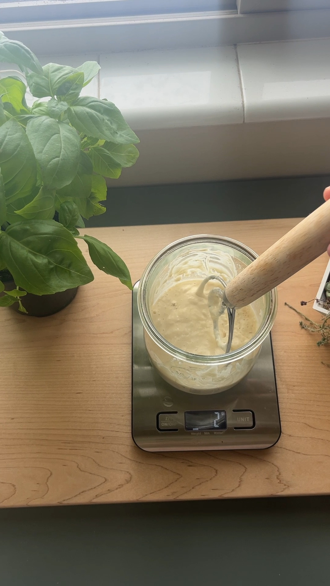 I have become a HUGE sour dough start lover. Here are my go-to sour dough items that helped me get started  

#LTKunder50