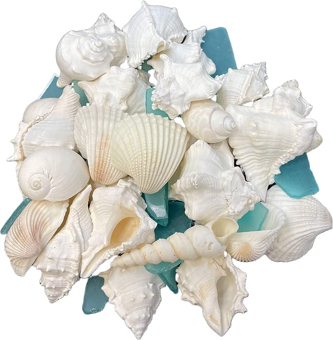 Tumbler Home White Sea Shell Mix with Aqua Sea Glass | Set Contains 1.5 lbs of Seashells and Seag... | Amazon (US)