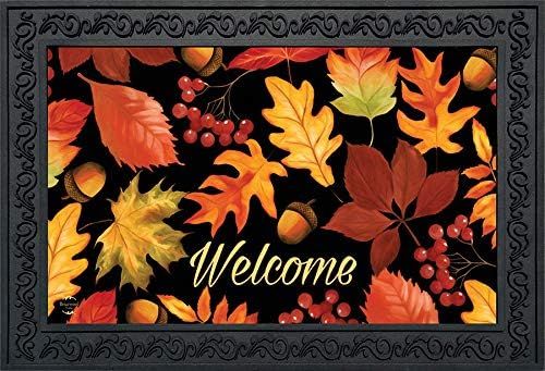 Amazon.com: Fall Leaves Welcome Doormat Autumn Indoor / Outdoor 30" x 18" Briarwood Lane : Everyt... | Amazon (US)