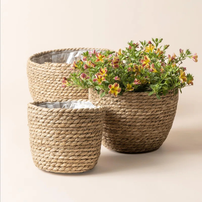 Geiser 3-Piece Natural Fibers Pot Planter Set | Wayfair North America