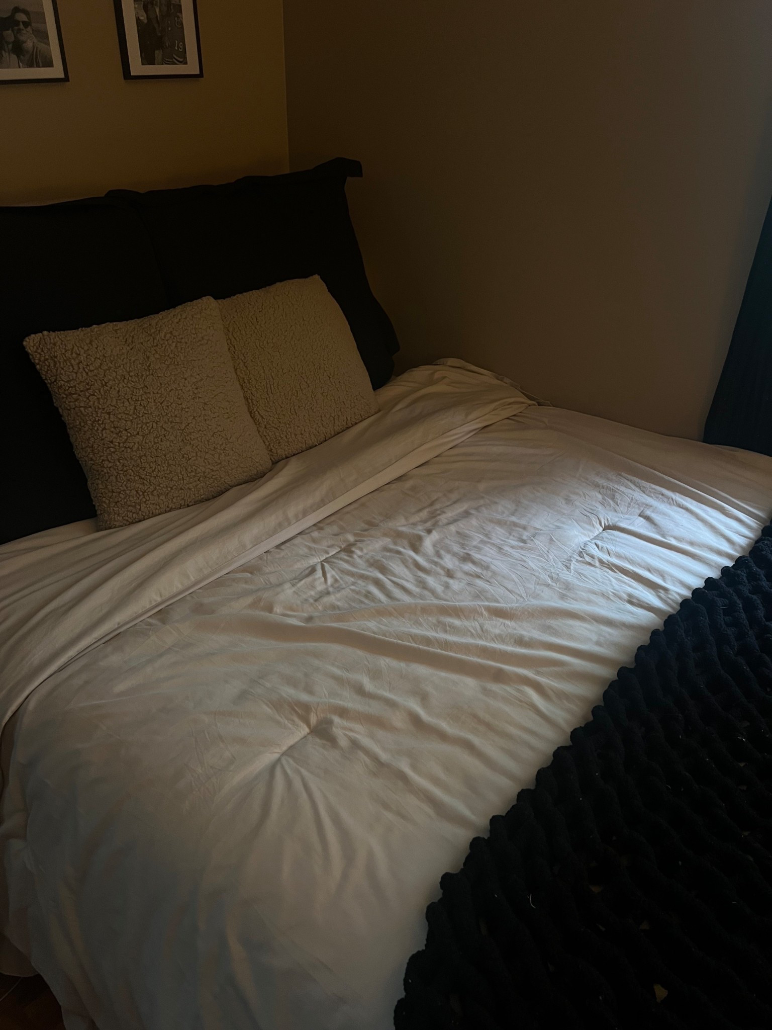 Amazing prime day - bedding & decor on sale!

#LTKFindsUnder50 #LTKHome #LTKSaleAlert