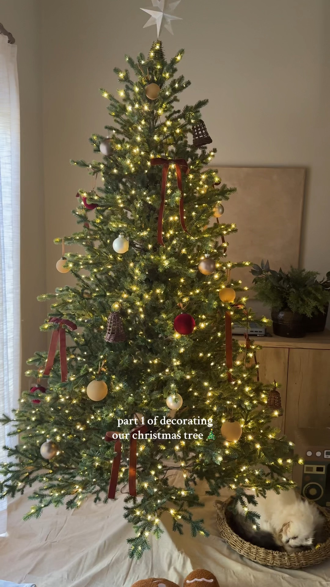 Christmas tree, Christmas tree decor, Christmas tree ideas, Christmas tree inspo, maroon Christmas tree, velvet bow tree, velvet ornaments, twinkling Christmas tree

#LTKHoliday #LTKHome #LTKSeasonal