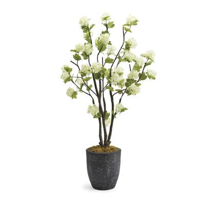Snowball Plant in Black Etched Planter | Frontgate