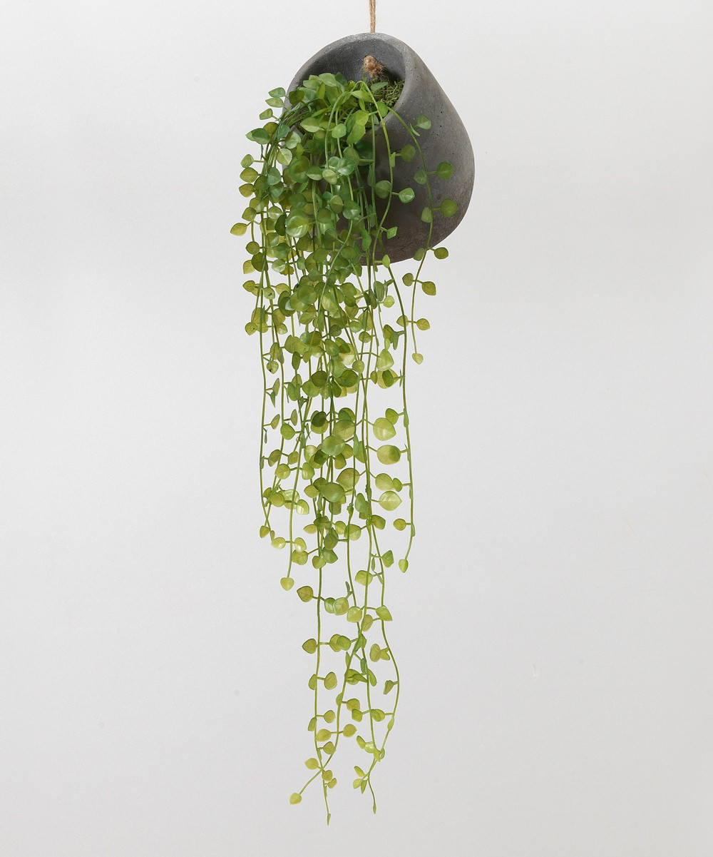 The Gerson Company Floral - Hanging Greenery Foliage | Zulily