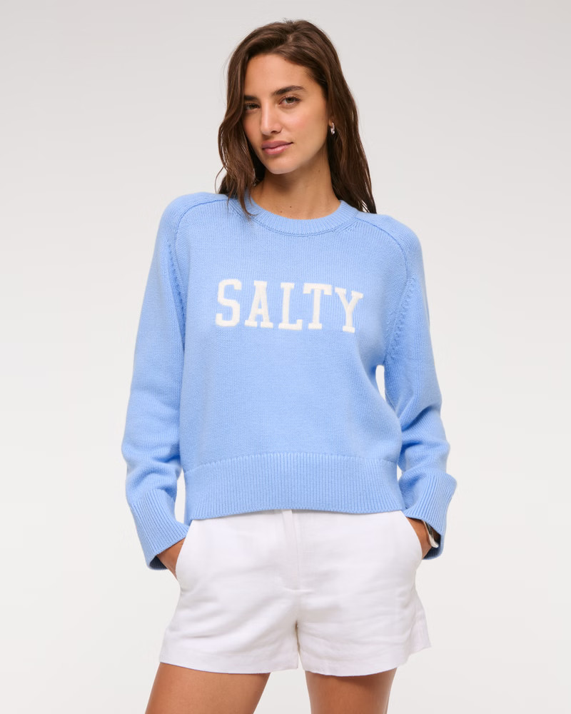 The A&F Madeline Salty Crew Sweater | Abercrombie & Fitch (US)