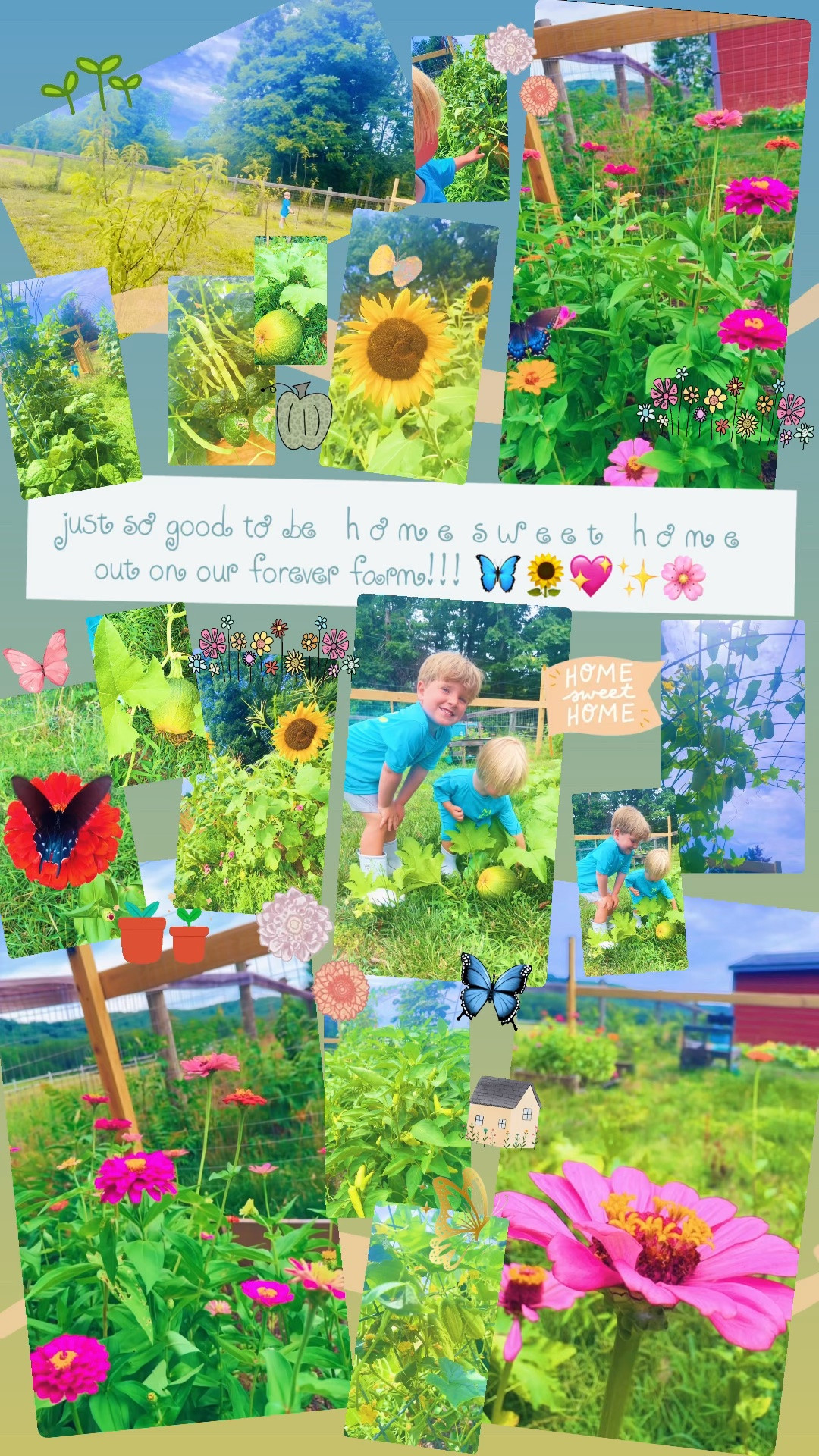just so good to be   h o m e  s w e e t   h o m e  out on our forever farm!!! 🦋🌻💖✨🌸