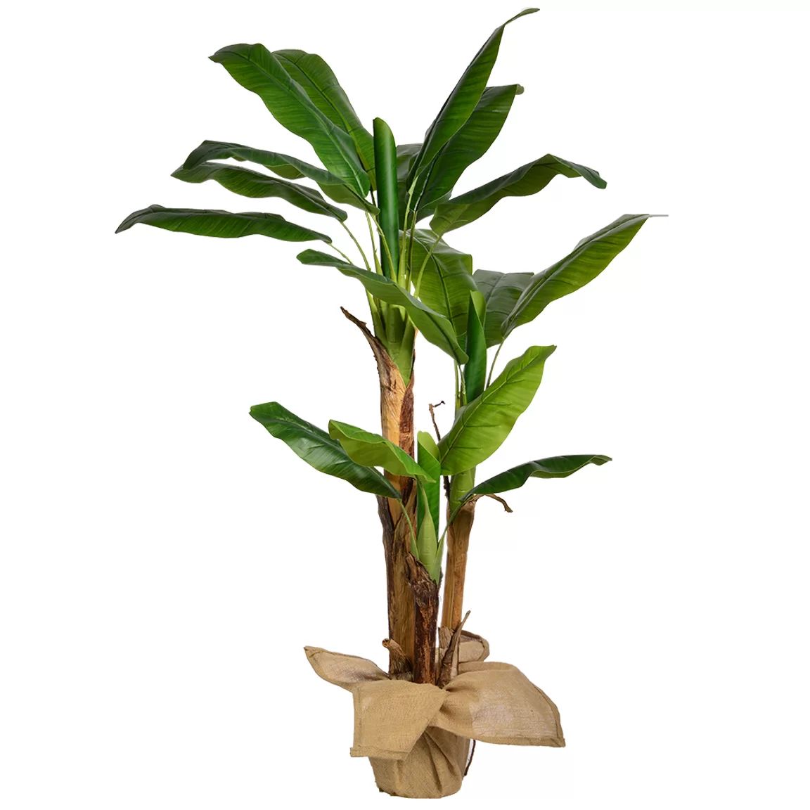 Banana Leaf Tree | Wayfair North America