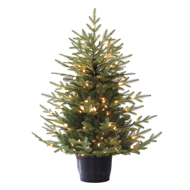 (A12) Pre-Lit LED Potted Bradford Spruce Christmas Tree, 4' | At Home