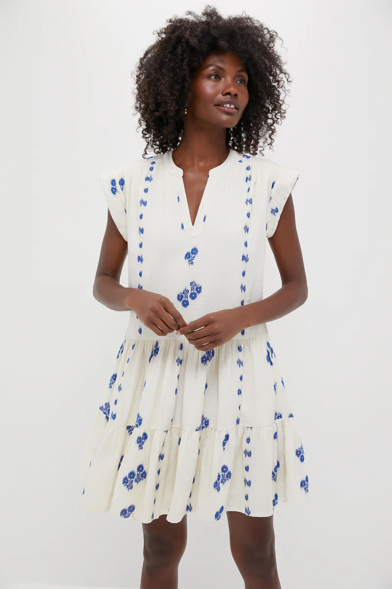 Wicklow Blue Roll Sleeve Mini Dress | Tuckernuck (US)