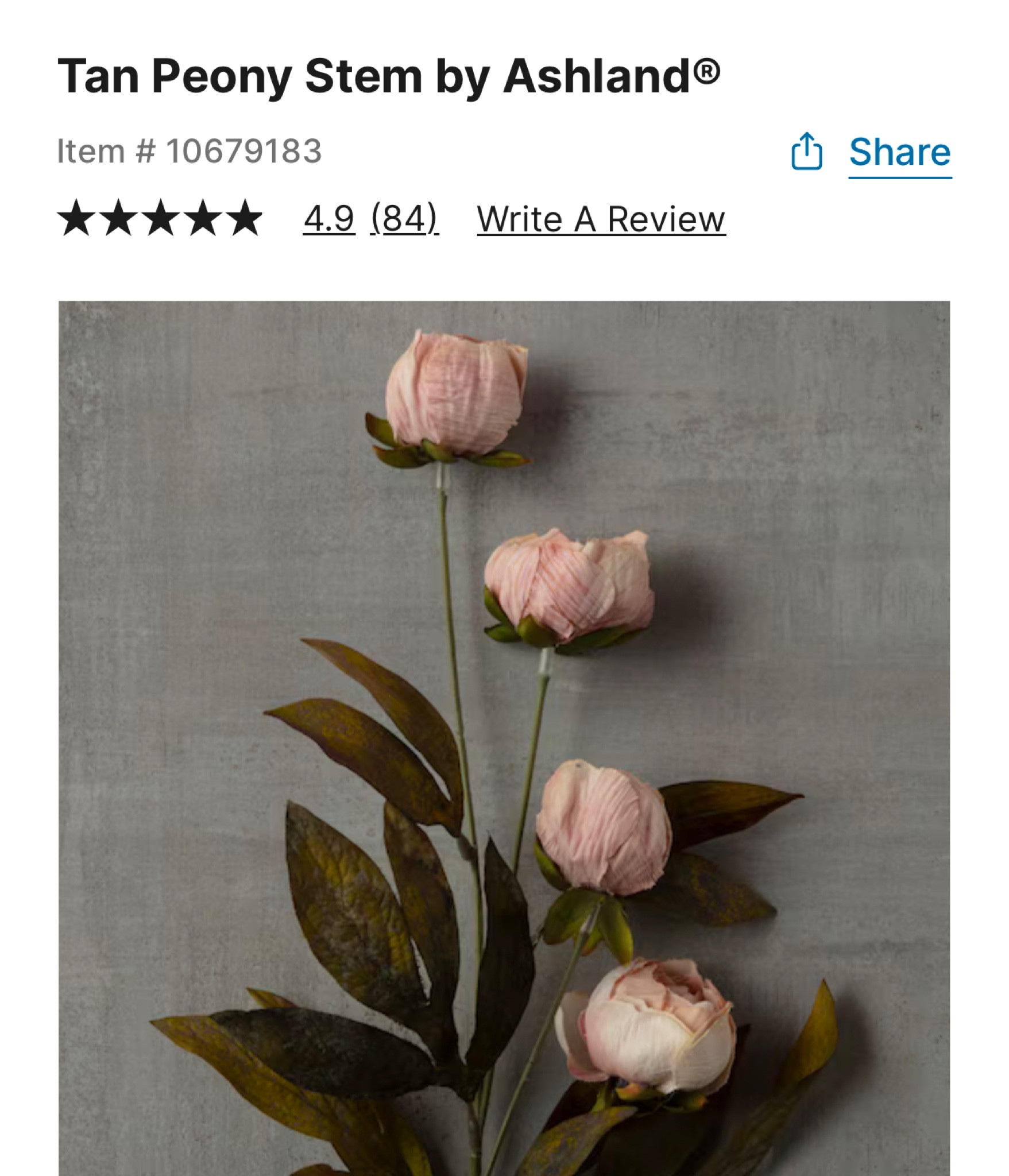 Viral Tan Peonies from Michaels are restocked! 



#LTKHome #LTKSaleAlert #LTKFindsUnder50
