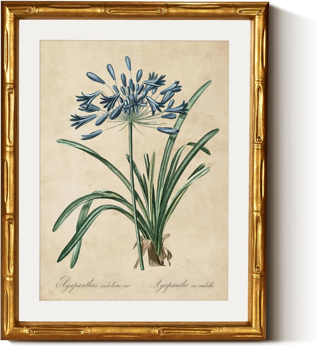 InSimSea Gold Bamboo Framed Canvas Wall Art, Retro Lily Botanical Prints, Antique Moody Picture F... | Amazon (US)