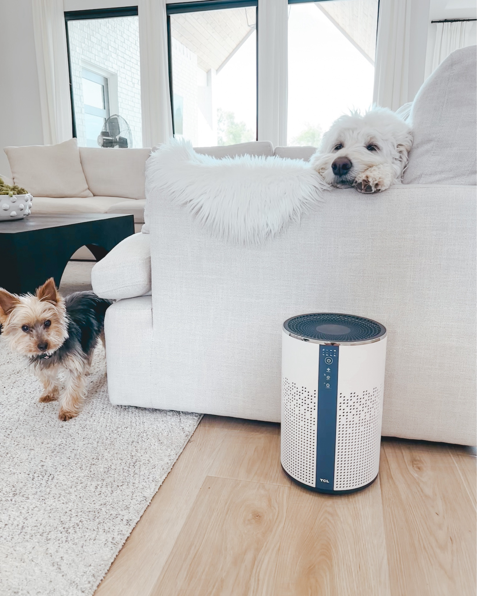 @Walmart Deals are starting today the 8th - 11th at noon EST for Walmart + members and 5pm EST for the public and there are some amazing finds! #Walmartpartner

I found some great deals if you are looking for back to college finds or even if you needed pieces just for home. 

Some of my favs 🫶🏼
Vacuum $219.99🚨ON SALE $69.99
Air Purifier $69.99🚨ON SALE $29.99
Cookware $199.99🚨ON SALE $69.98
Lap Desk $59.99 🚨ON SALE $17.99


#walmartdealsevent #walmartmusthaves #walmarthomefinds #walmartbacktocollege #walmartfinds #walmartjulysale #backtocollege #backtoschool

#LTKSummerSales #LTKSaleAlert #LTKFindsUnder50