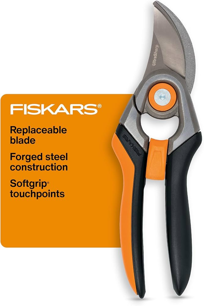 Fiskars Bypass Pruning Shears, 1-Inch Cut Capacity Softgrip Pruner, Forged Steel Replaceable Blad... | Amazon (US)
