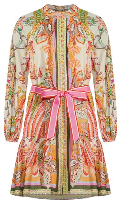 Brynn Pink Scarf Floral Border Print Mock Neck Long Sleeve Self-Tie Belted Tiered Hem Button Fron... | Dillard's