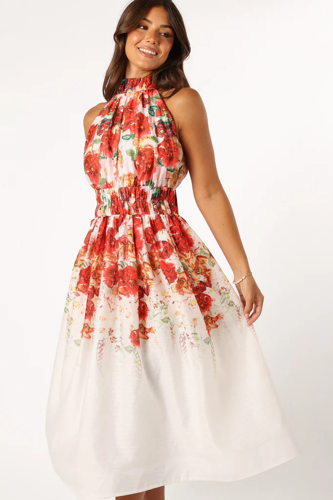 Pipps Halterneck Midi Dress - Multi | Petal & Pup (US)