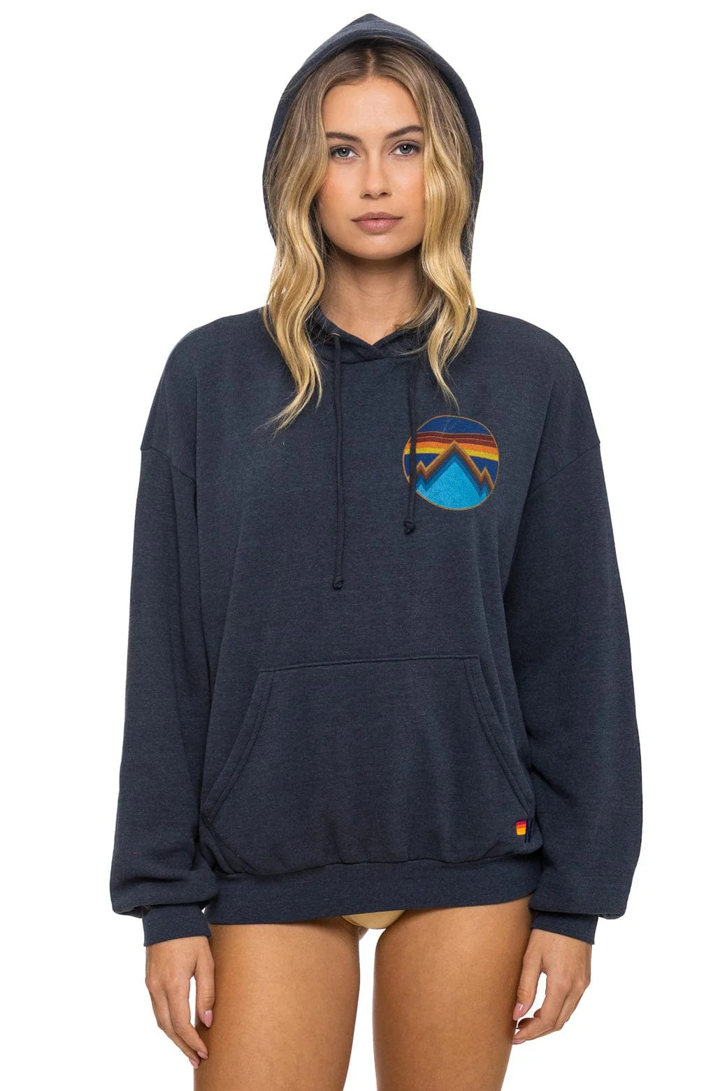 ALL SEASONS RELAXED PULLOVER HOODIE - CHARCOAL | Aviator Nation
