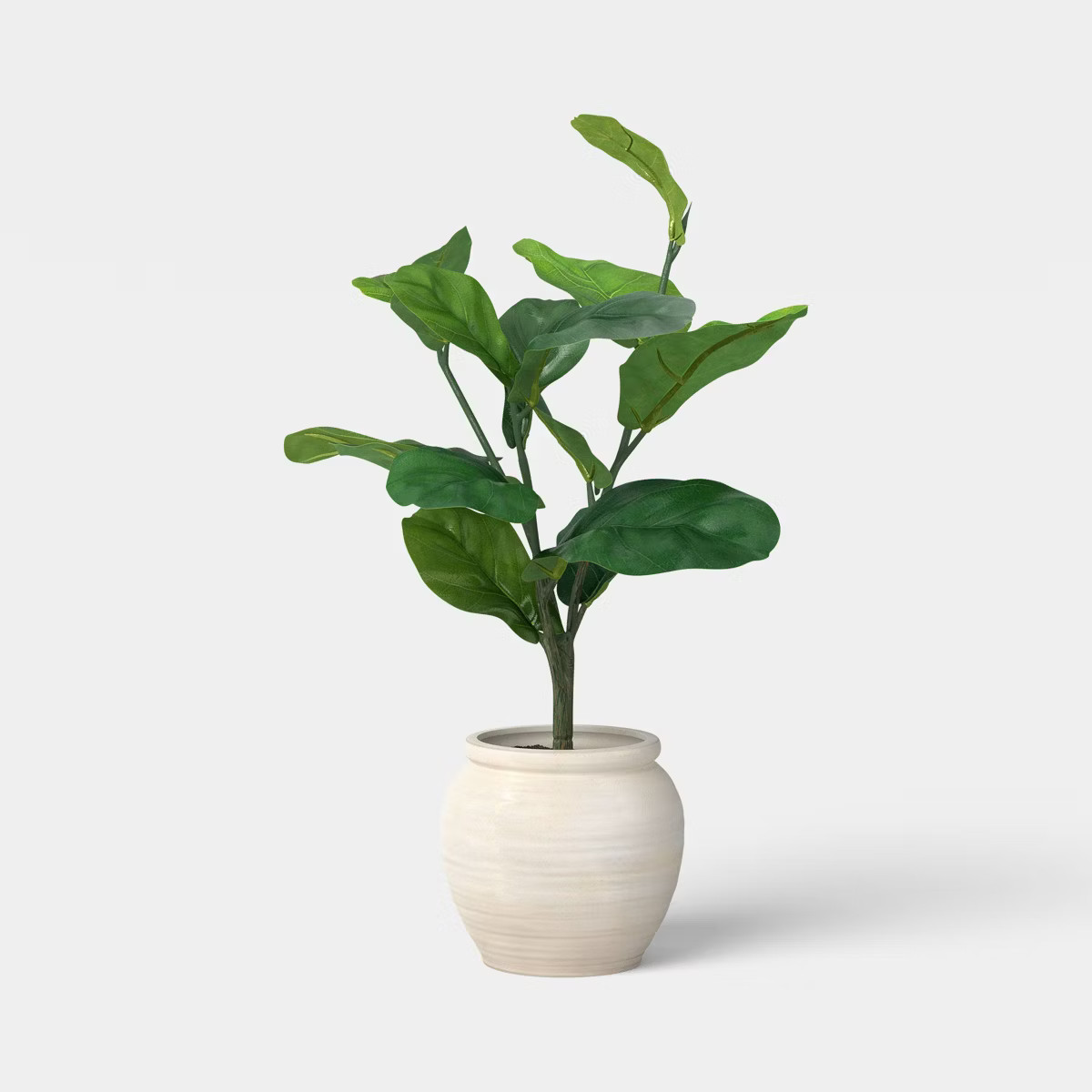 26" Fiddle Leaf Plant - Threshold™ | Target