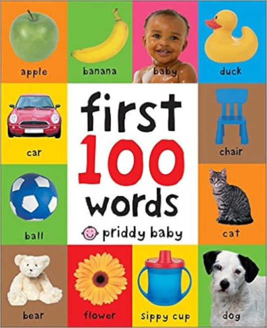 First 100 Words by Priddy Baby