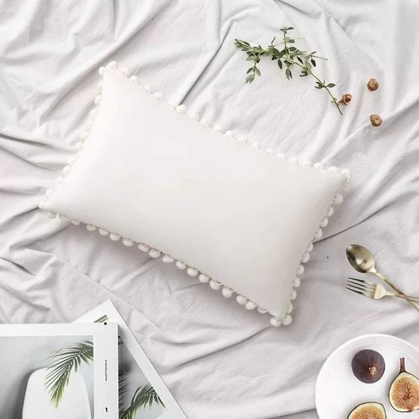 Lamendola Pom Square Velvet Throw Pillow Cover | Wayfair North America