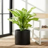SAFAVIEH Outdoor Collection Braslen Concrete Planter Black | Walmart (US)