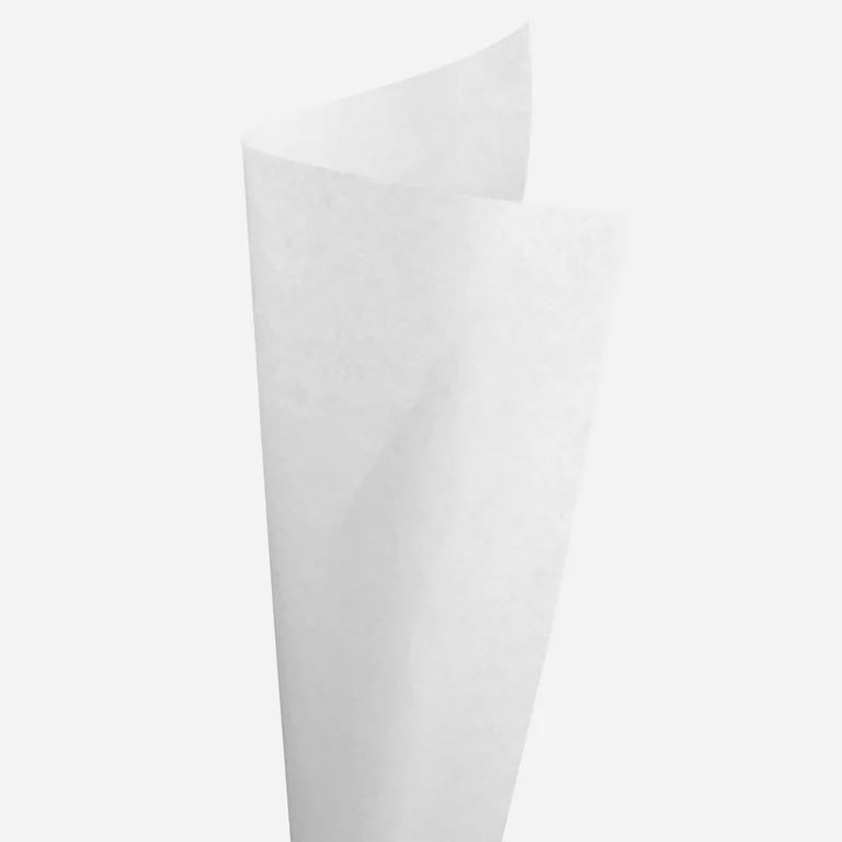 Way to Celebrate White Solid Tissue Paper 12 Count | Walmart (US)