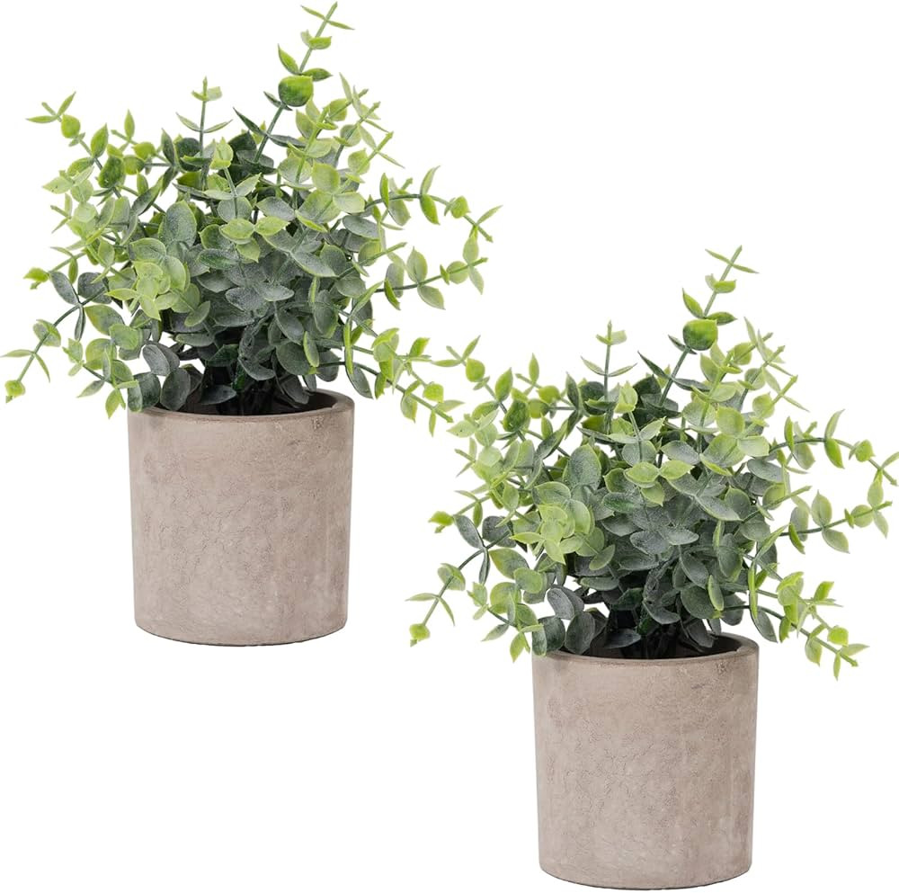 2 Pack Small Fake Plants Eucalyptus Potted Artificial Plants for Shelf Desk Home Bathroom Farmhou... | Amazon (US)