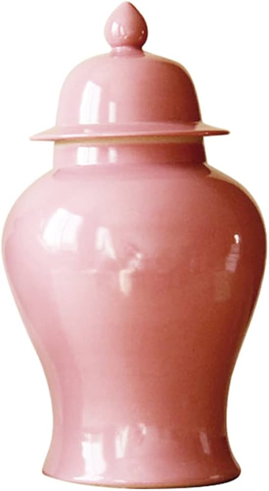 ZHOUXIAO Vintage Ceramic Vases Ginger Jar with Lid, Multicolour Porcelain Jar Temple Jars with Li... | Amazon (US)
