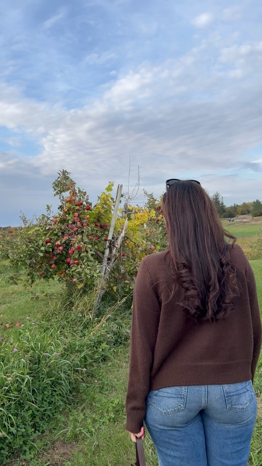 Comfy fall outfit check 🤎

#LTKMidsize #LTKStyleTip #LTKFindsUnder50