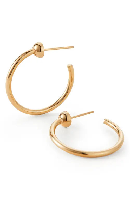JENNY BIRD Mini Icon Hoop Earrings in High Polish Gold at Nordstrom | Nordstrom