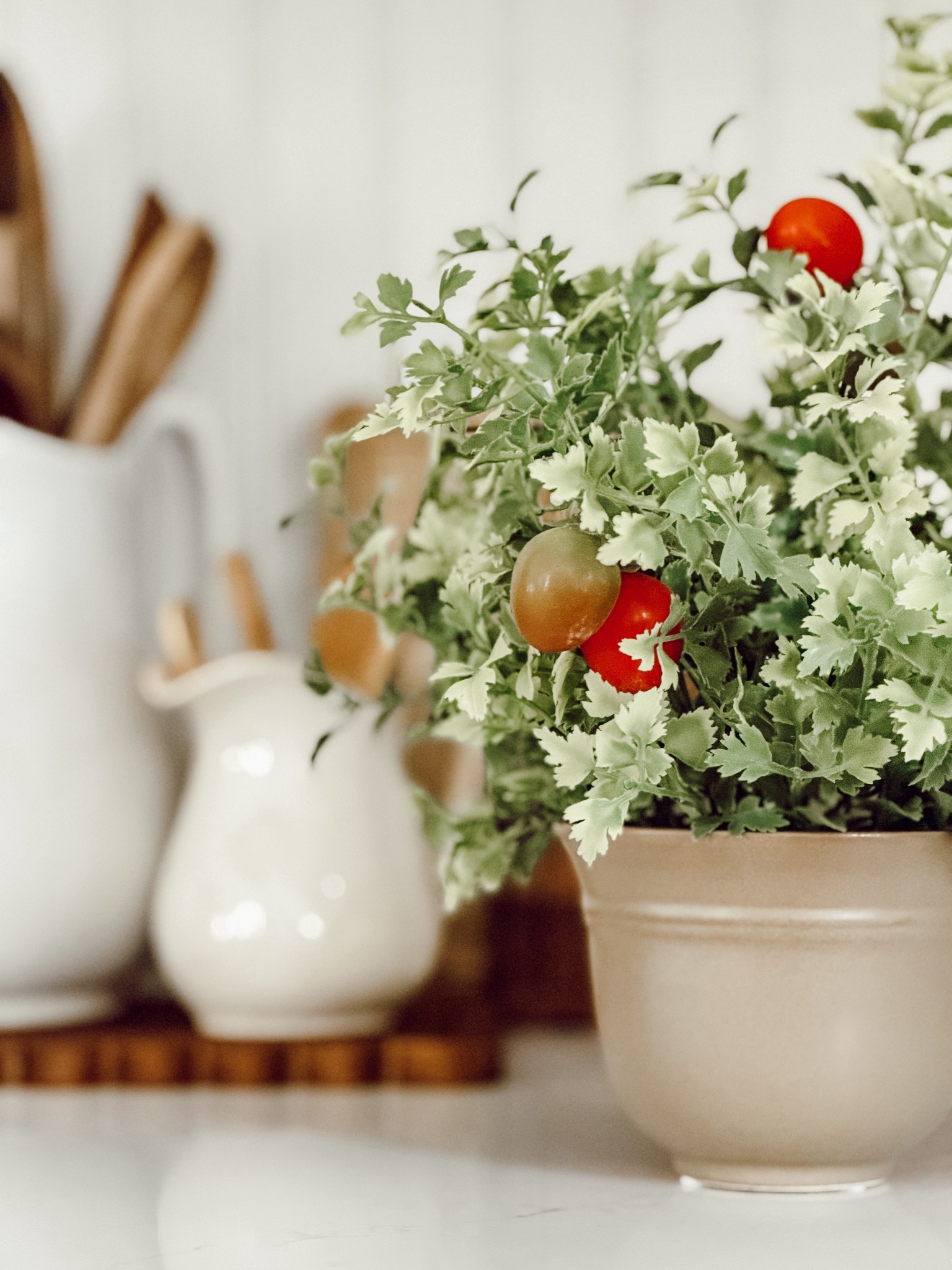 It’s not tomato season here yet, but this faux tomato plant is giving me warm weather vibes.

#LTKSeasonal #LTKHome