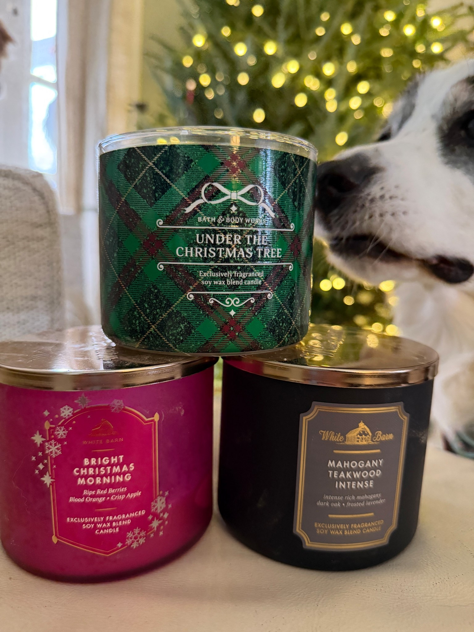 All 3 wick candles are currently on sale for $9.95!

These make great gifts for friends, family, teachers, coworkers and more! I usually stock up on several each year and then gift throughout the following year 

Christmas gift. Holiday gift. Gifts for under $15. House warming gift. 

#LTKHoliday #LTKHome #LTKGiftGuide