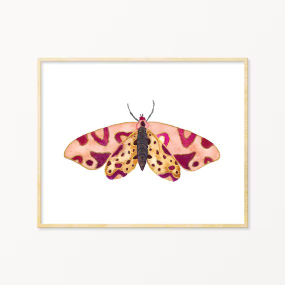 Pink Moth Art Print. Unique Bug Art. Moth Watercolor. Pink Bug Art. Girls Room Art. Nursery Decor... | Etsy (US)