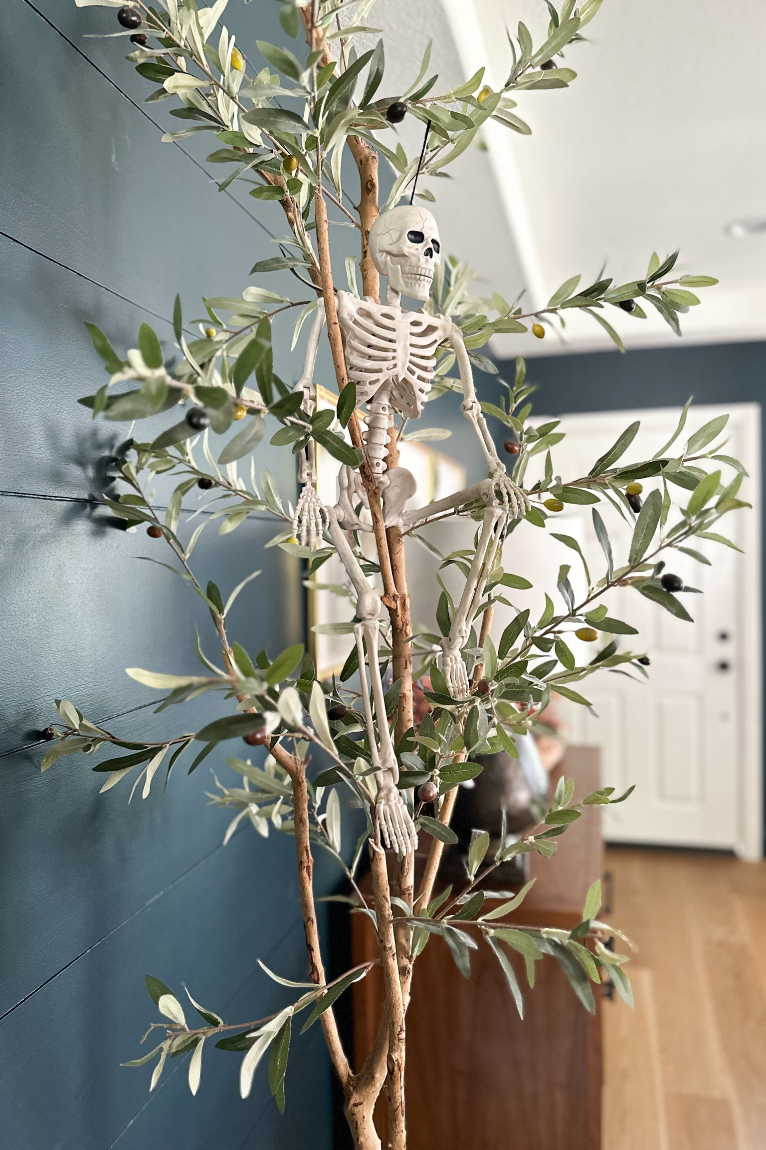 Small posable skeleton only $15! Halloween decor.

Faux olive tree on major sale at Walmart!

#LTKSeasonal #LTKHome #LTKSaleAlert