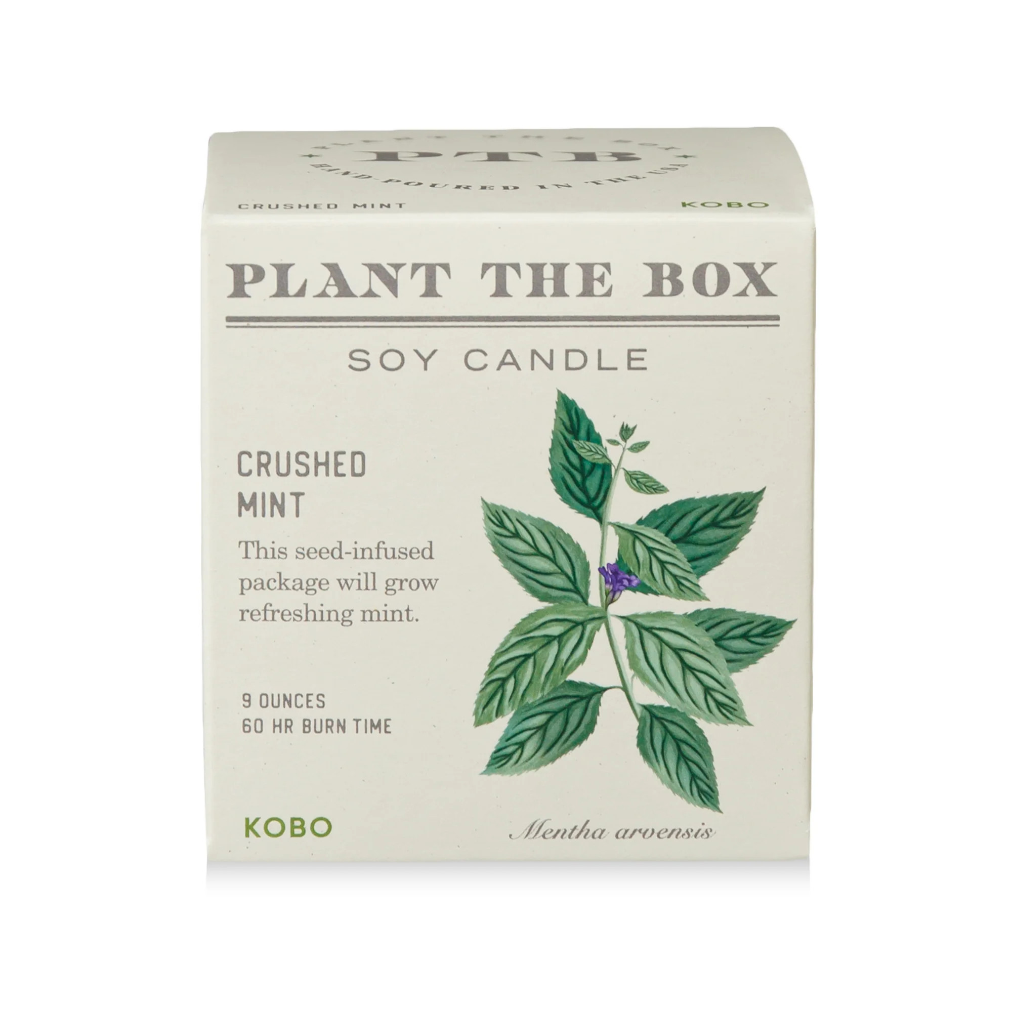 KOBO Crushed Mint Plant the Box Candle (9 oz) | Smallflower