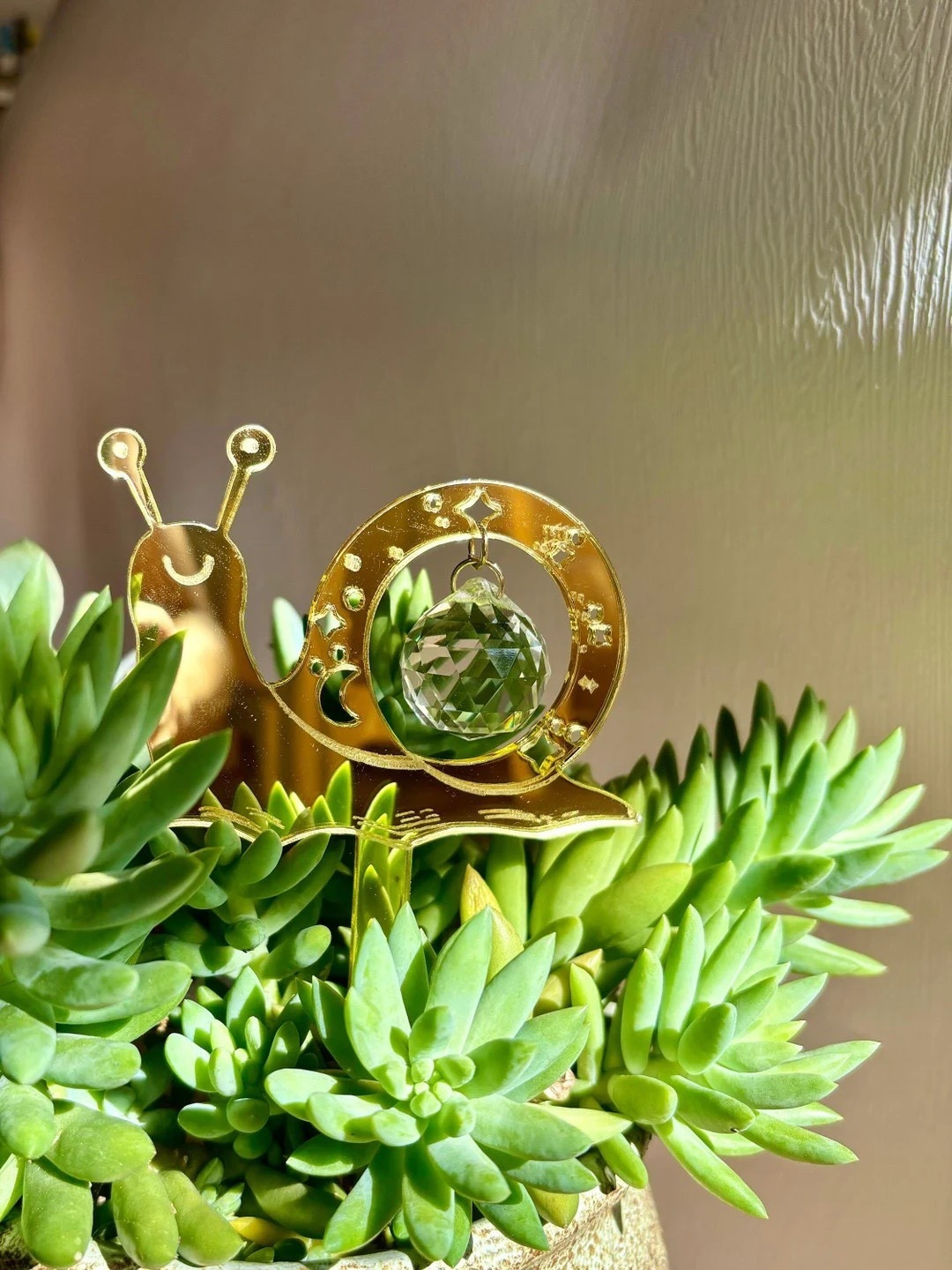 Add sparkle and charm to your plants with these mini suncatcher plant stakes from RipplexLove! Crafted from gold-mirror acrylic and accented with a crystal sphere, each stake reflects vibrant rainbow flecks, bringing light and whimsy to your garden or indoor greenery. Perfect as a cheerful gift or a dazzling addition to your own plant display.
#LTKhome #LTKfinds #PlantDecor #MiniSuncatcher #Houseplants #IndoorGarden #WhimsicalDecor #EtsyFinds #PlantLovers

#LTKFindsUnder50 #LTKHome #LTKSeasonal