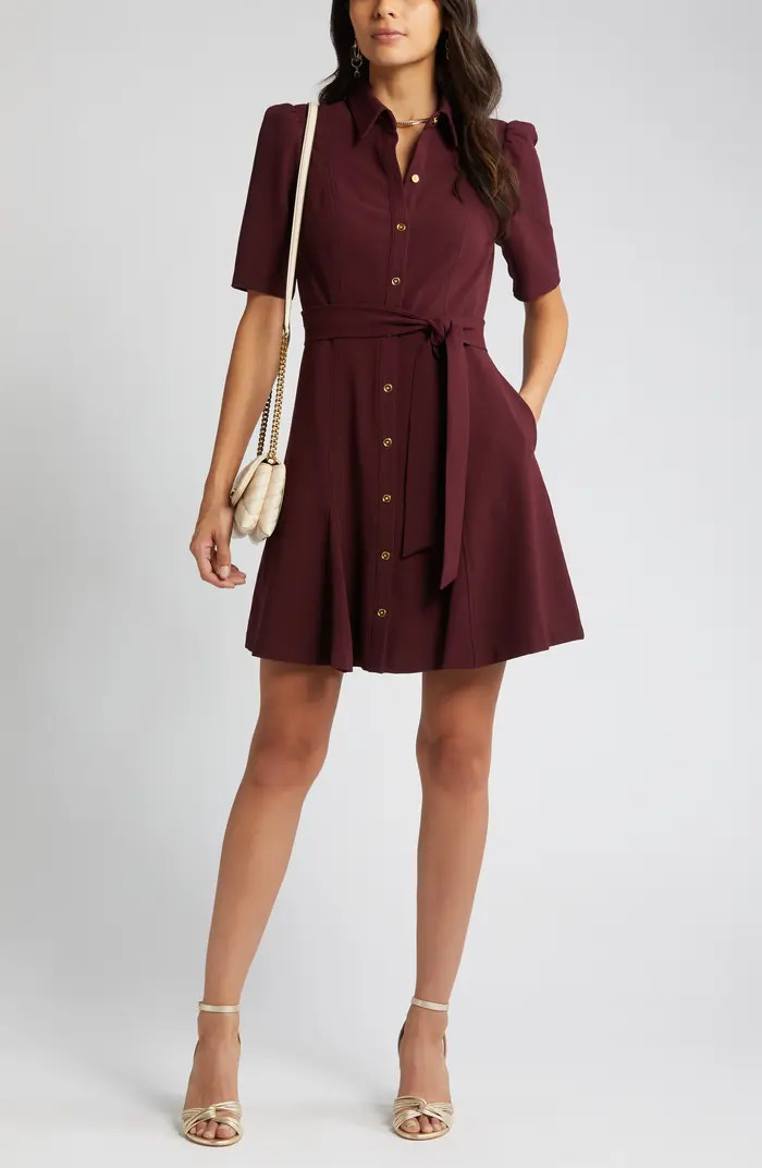 Puff Sleeve Shirtdress | Nordstrom