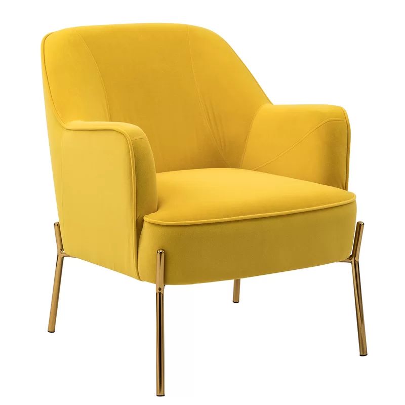Cleo 26" Wide Velvet Armchair | Wayfair Professional