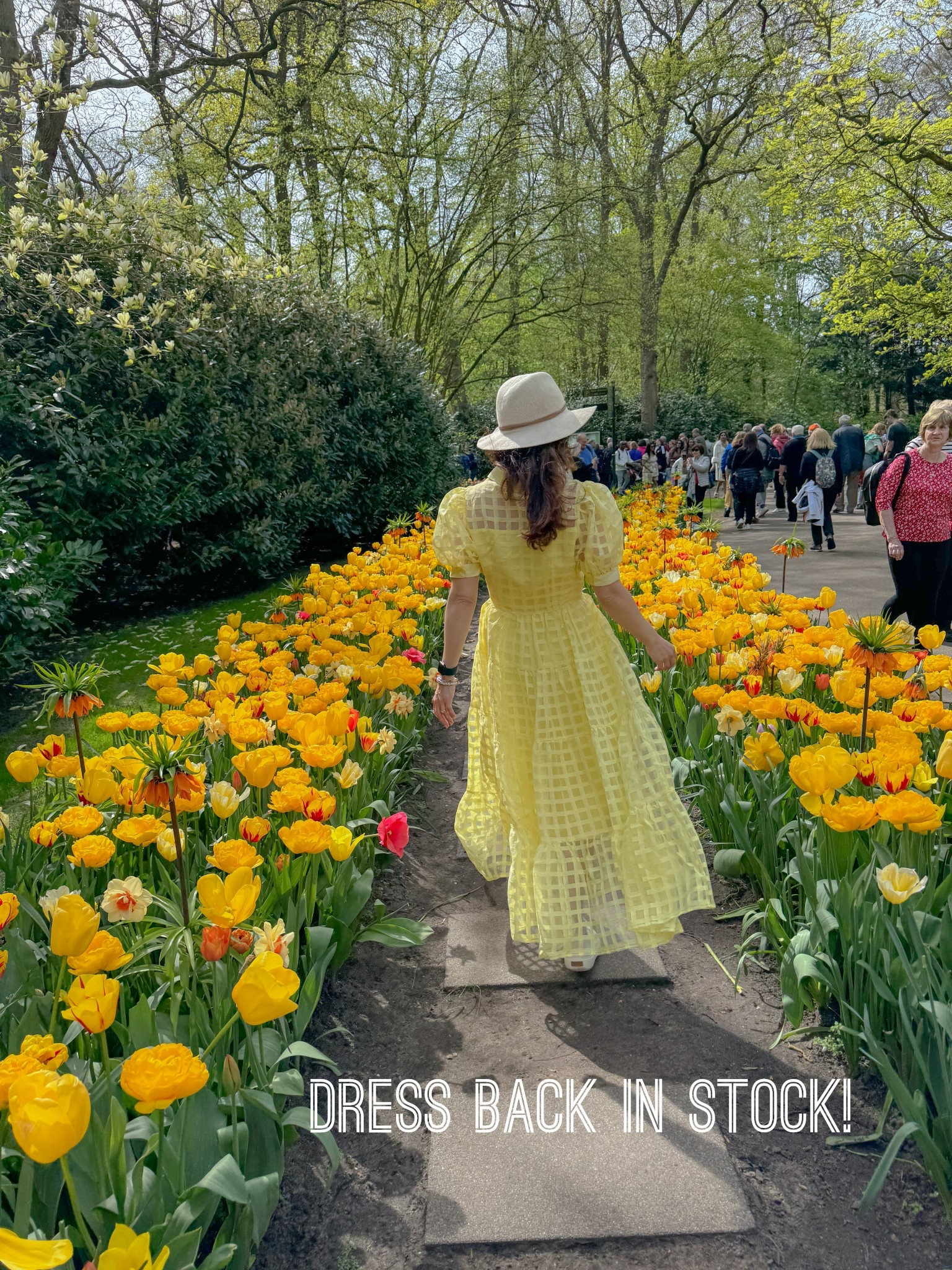 Back in stock! This yellow English Factory tiered midi dress has been a fav of mine for a couple of years. This was in Amsterdam in 2024. Lots of different colors and would make a great dress to wear to a shower or as a wedding guest. 

#LTKOver40 #LTKSeasonal #LTKTravel