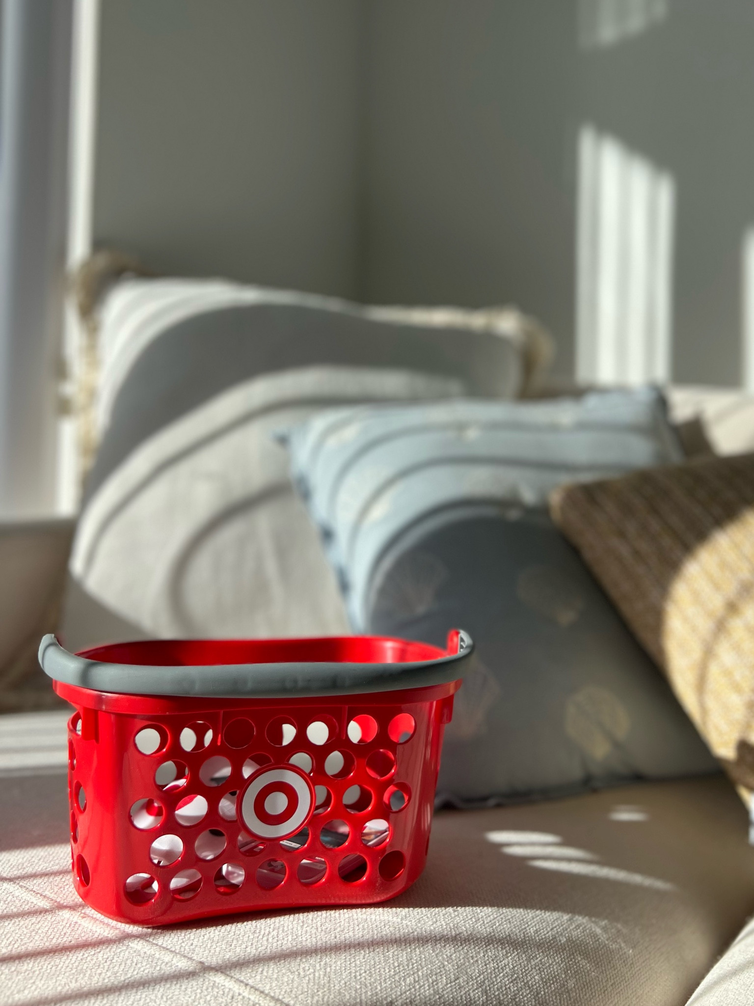 Mini Target shopping basket! Would be a really cute Valentine’s Day gift! 

#LTKFindsUnder50 #LTKSeasonal #LTKKids