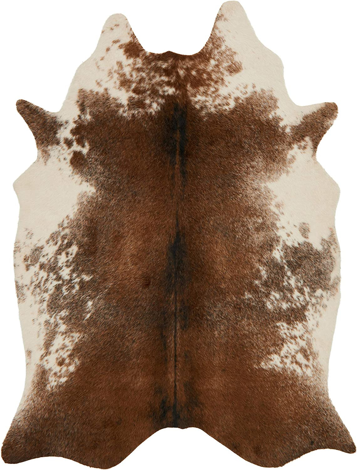 Loloi II Grand Canyon Area Rug, 3'-10" x 5', Coffee/Ivory | Amazon (US)