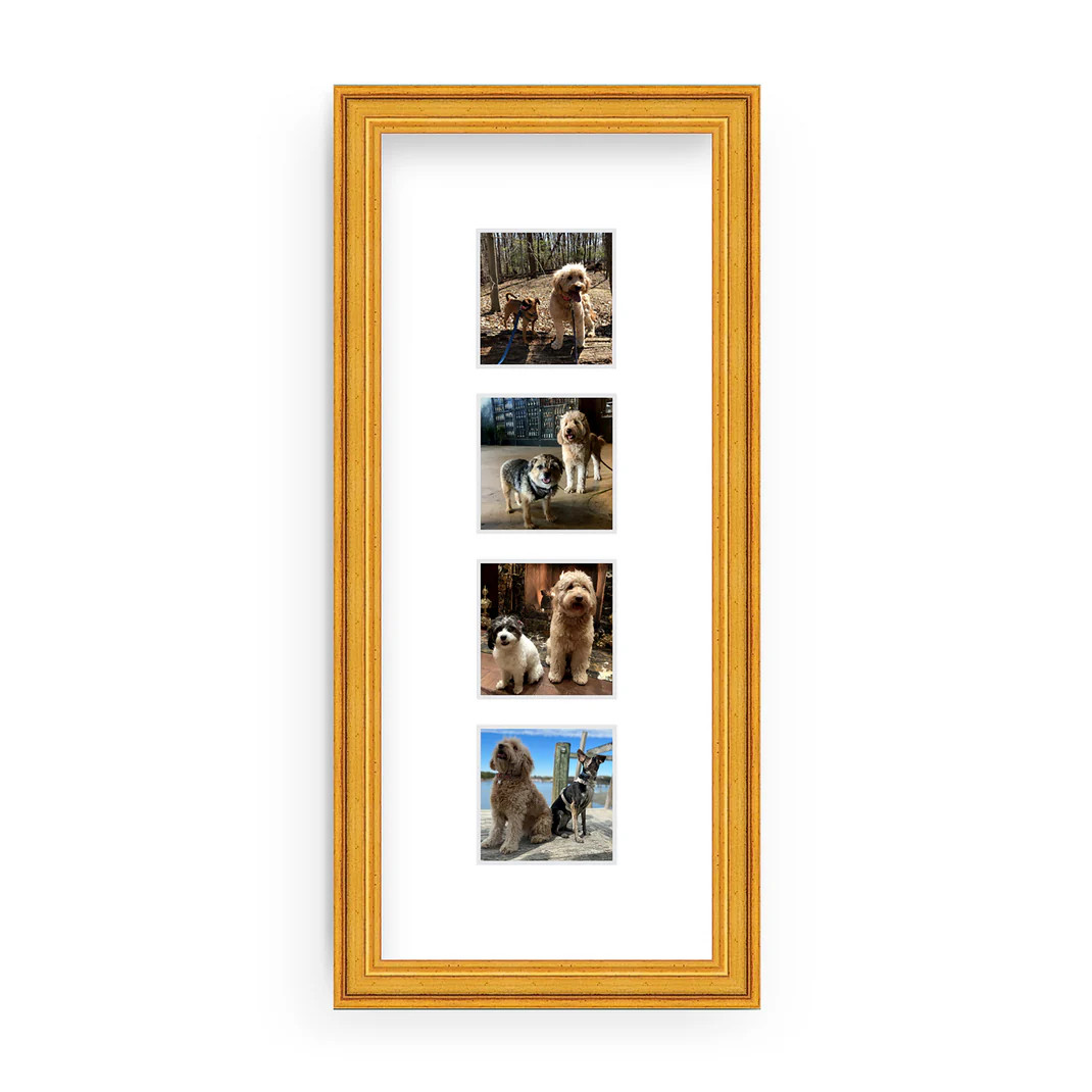 The Photo Strip | Framebridge