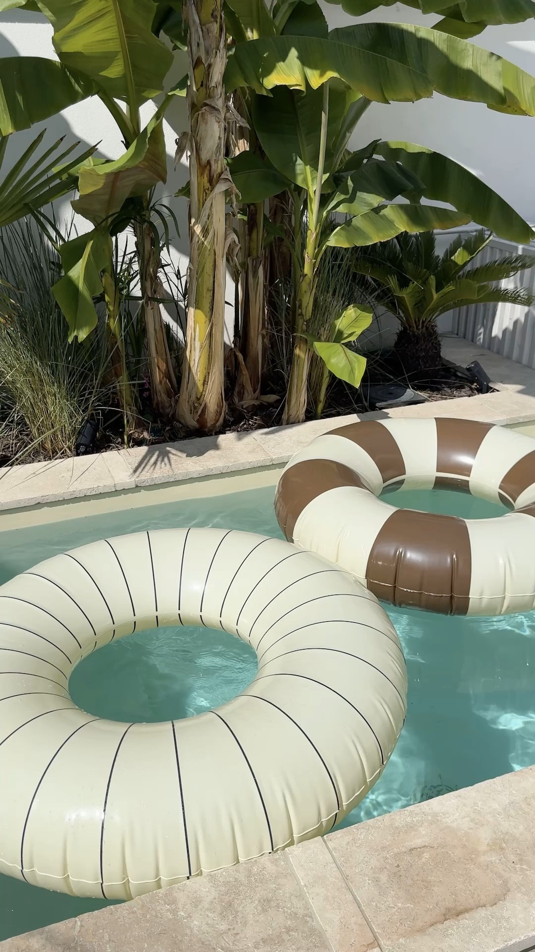 My aesthetic pool 🌿

Publicité  

#LTKeurope #LTKsummer #LTKhome