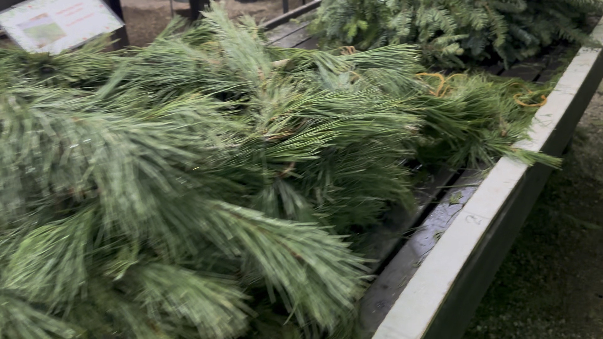 Fresh Christmas greenery . Smell so nice ! 

#LTKHome #LTKHoliday #LTKGiftGuide